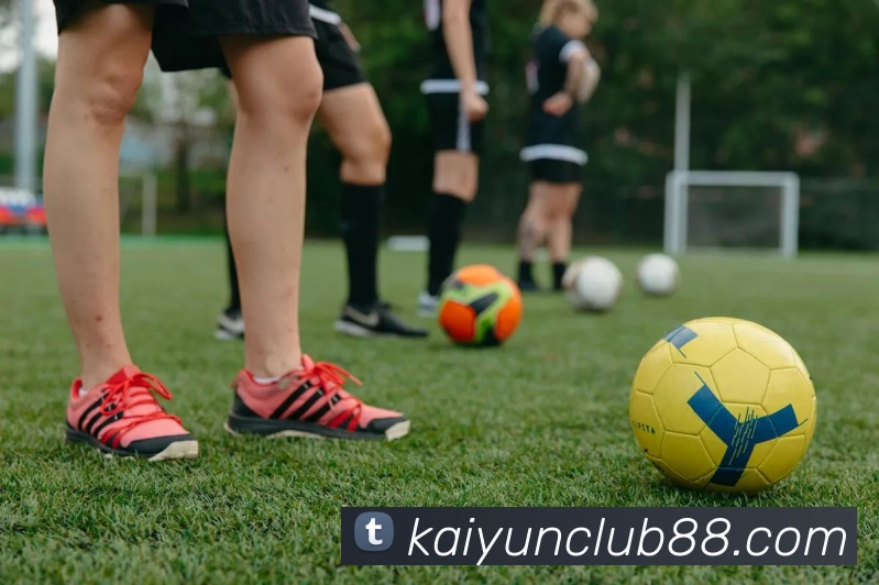 开云体育APP 封面图